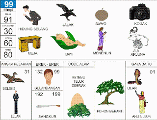 Hidung Belang, Burung Jalak, Bayi, Kodak, Meja, Arjuna